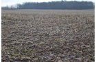 Property photo 71 - 98+/- Acres Offered in 6 Tracts or Combinations, Noble County, Indiana Farm